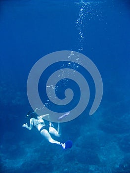 Deep snorkel el nido palawan philippines