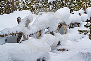 Deep snow covers fencing in Yellowstone in Winter