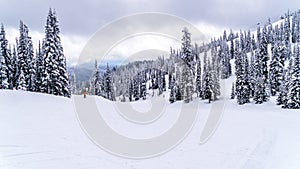 Deep snow pack in the high alpine on ski runs at the village of Sun Peaks, British Columbia, Canada