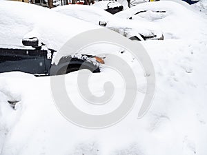Deep snowbanks cover parked cars on city street