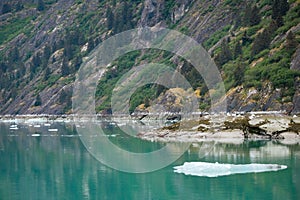 Deep and still, green water with scattered ice in the Endicott Arm, Alaska, USA