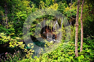 Deep tropical forest waterfall, outdoor beautiful lanscape with water, pond and trees.
