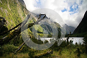 Deep valley in Fiordland National Park, Milford Track - New Zealand