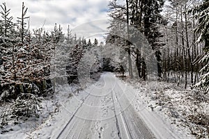 A deeper path into the forest in winter time