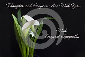 With Deepest Sympathy Card with a White Calla lily on a Black Background