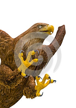 Deepsea eagle attacking on white background close up photo