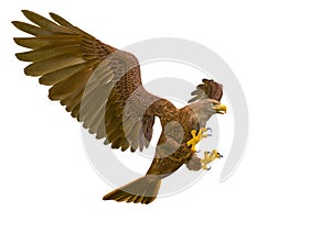 Deepsea eagle attacking on white background photo