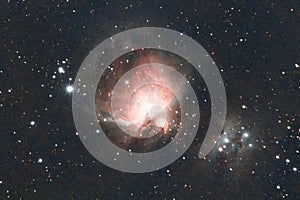 the great orion