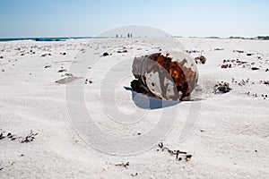 Deepwater Horizon Oil Spill