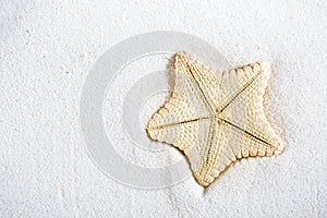 Deepwater rare starfish in white beach sand