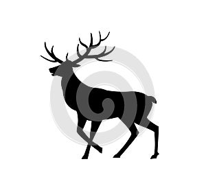 Deer Animal with Horns Isolated Icon Silhouette