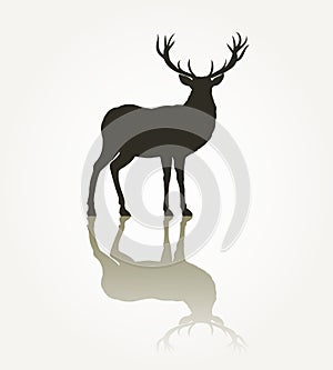 Deer animal silhouette