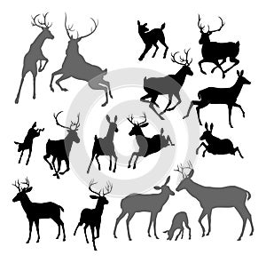 Deer animal silhouettes photo