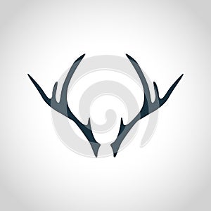 Deer antler silhouette photo