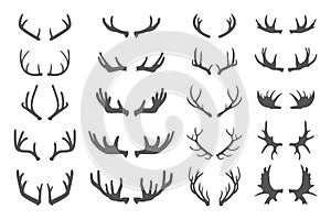 Deer antlers.