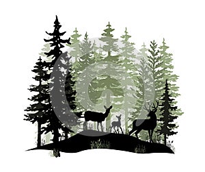 Deer with antlers, doe, fawn posing in magic misty forest. Silhouettes illustration.