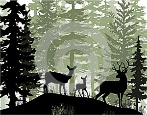 Deer with antlers, doe, fawn posing in magic misty forest. Silhouettes illustration.