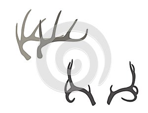 Deer antlers hand drawn vector illustration. Boho design elements