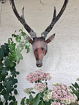 Deer antlers outdoor wall decoration