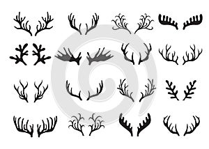 Deer antlers set isolated on white background. photo