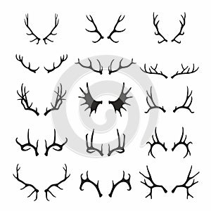 Deer antlers set photo