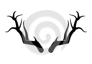 Deer antlers vector s. Hand drawn silhouettes of hunting trophies.Silhouette of the horns