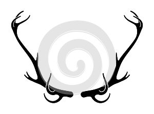 Deer antlers vector s. Hand drawn silhouettes of hunting trophies.Silhouette of the horns