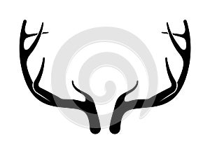 Deer antlers vector s. Hand drawn silhouettes of hunting trophies.Silhouette of the horns