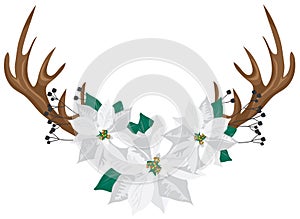 Deer antlers and white poinsettias