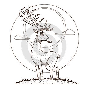 Deer. Artiodactyla mammals. Illustrations for gaming applications design for teaching aids