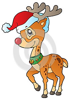 Deer with Christmas cap 1