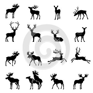 Deer collection - silhouette.
