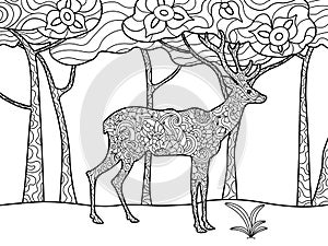 Deer coloring book for adults raster