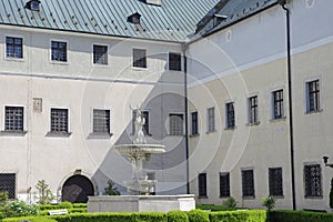 The deer in the courtyard of castle Cerveny Kamen, Slovakia