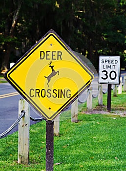 Deer Crossing Sign