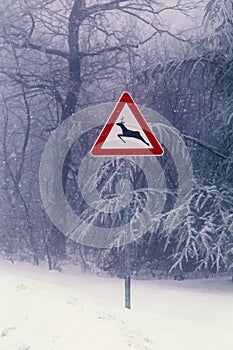 Deer crossing sign on the winter road 3