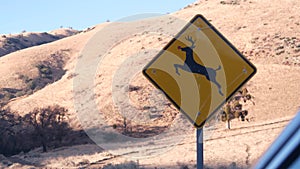 Deer crossing yellow road sign, California USA. Wild animal xing, traffic safety