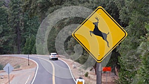 Deer crossing yellow road sign, California USA. Wild animal xing, traffic safety