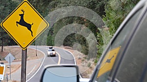 Deer crossing yellow road sign, California USA. Wild animal xing, traffic safety