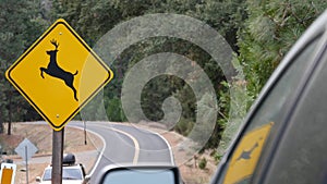 Deer crossing yellow road sign, California USA. Wild animal xing, traffic safety