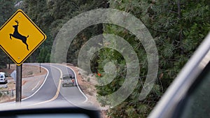 Deer crossing yellow road sign, California USA. Wild animal xing, traffic safety