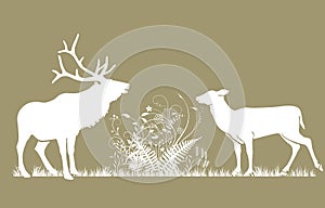 Deer and doe