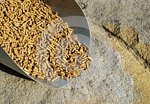 Deer And Elk Feed