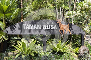 Deer enclosure in Taman Rusa. Deers Perdana Botanical Gardens