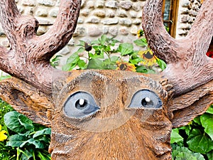 Deer eyes sculpture. Doubt in the eyes, nervous concept. shocking face