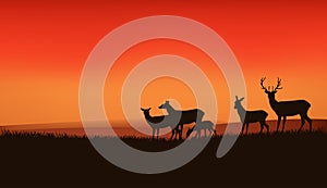 Deer family grazing at sunset meadow vector silhouette scene