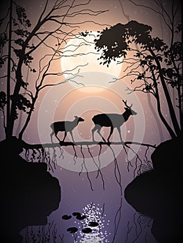 Deer family in misty forest. Animals walk on fallen tree. Full moon