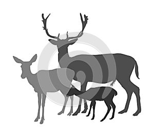 Deer  family  silhouette isolated on white background. Reindeer couple with fawn. Proud Noble Deer.