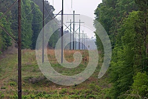 Deer feeder in distance down high voltage lines photo