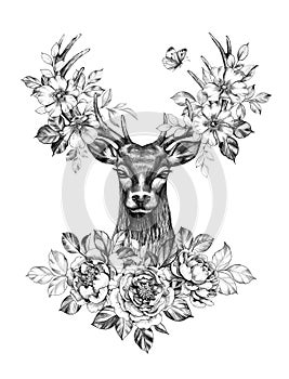 Deer with Flowers and Butterfly Pencil Drawing